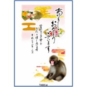 2016年 申年 お年玉付年賀はがき4枚 スタンダードカラー TA603