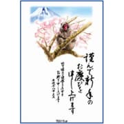 2016年 申年 お年玉付年賀はがき4枚 スタンダードカラー TE619