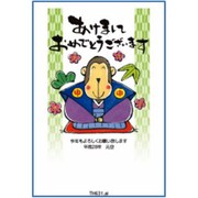 2016年 申年 お年玉付年賀はがき4枚 カジュアルカラー TH631