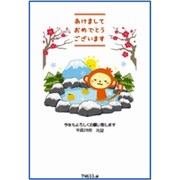 2016年 申年 お年玉付年賀はがき4枚 カジュアルカラー TN653