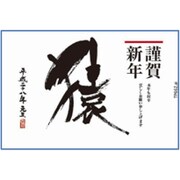2016年 申年 お年玉付年賀はがき4枚 シンプルカラー 文字デザイン TP662