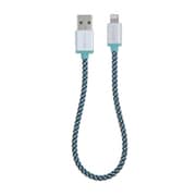 レトロケーブル 0.25m MFi認定 ライトニングケーブル 日本限定カラー MINT(ライトグリーン) IBP-RCIMGT02