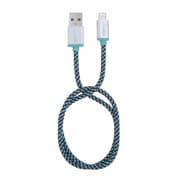 レトロケーブル 0.5m MFi認定 ライトニングケーブル 日本限定カラー MINT(ライトグリーン) IBP-RCIMGT05