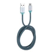 レトロケーブル 1.0m MFi認定 ライトニングケーブル 日本限定カラー MINT(ライトグリーン) IBP-RCIMGT10