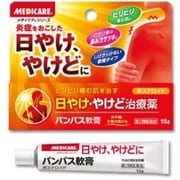 パンパス軟膏15g [第2類医薬品 皮膚用治療薬]