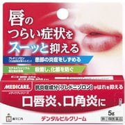 デンタルピルクリーム [第2類医薬品 口唇炎・口角炎]