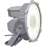 LED投光器 広角形 重耐塩耐食形 5000K 昼白色 LEDS-20401WW-LDJ