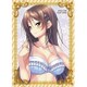 NEXTON ガールズスリーブコレクション Vol.045 アマカノ ～Second Season～ 「穂波」