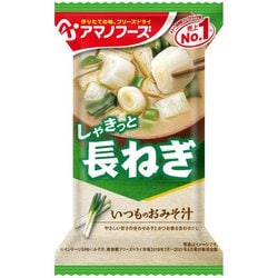 いつものおみそ汁 長ねぎ 9g×1食分 [即席みそ汁]