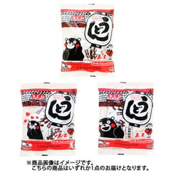 スープ付うどん 210g（1袋） [生タイプ即席麺]