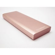 リチウム充電器 EP14000YD-RP