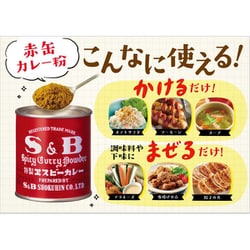 ヨドバシ.com - エスビー食品 赤缶カレー粉 37g [カレー粉] 通販【全品