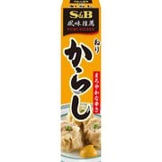 風味推薦ねりからし 43g [香辛調味料]