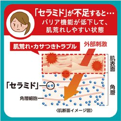 ヨドバシ.com - キュレル Curel キュレル 泡洗顔料 つめかえ用 130ml