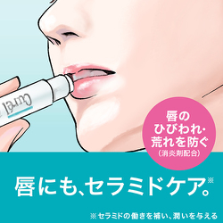 ヨドバシ.com - キュレル Curel キュレル リップケアクリーム 4.2g