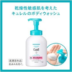 販売 curel ボディソープ せいぶん