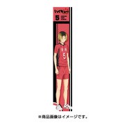もふもふマフラータオル ハイキュー！！セカンドシーズン 孤爪研磨 [キャラクターグッズ]