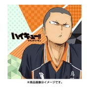 もふもふミニタオル ハイキュー！！セカンドシーズン 田中龍之介 [キャラクターグッズ]