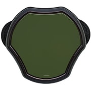 2 in 1モップロボットクリーナー グリーン AIM-MRC01(GR)