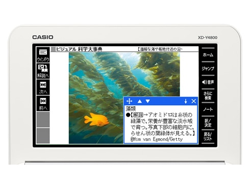 CASIO 電子辞書 EX-word XD-Ｙ4800WE XD-Y4800 | XD-Y | 電子辞書 | CASIO