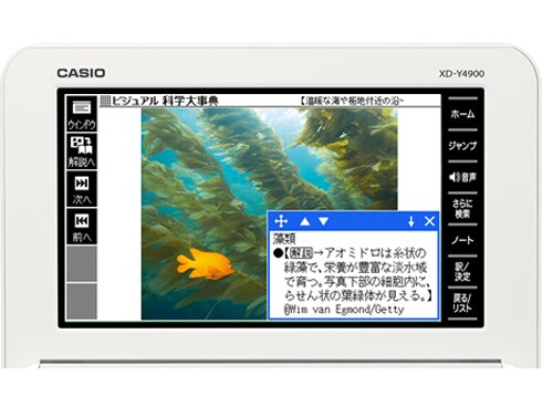 ヨドバシ.com - カシオ CASIO XD-Y4900PK [電子辞書 EX-word