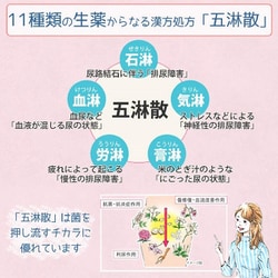 麻林 即購入⭕️ Amazon.co.jp: KusaKusa88 KK-CBS-02 Brazilian Seed 0.047μf