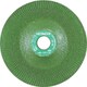 0030-7004 [レジノイドフレキシブル砥石 100mm ＃80 10入]