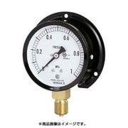 普通形圧力計 B枠立形 接続ネジ:G3/8B AC20-231-6.0MP