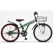 子供用自転車 イレーション226 22型 外装6段変速 グリーン CHI226 22-1.75 246