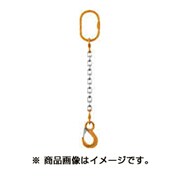 1-MFF-YP-6.3 [チェーンスリング100 アイタイプ ラッチ付 1t]