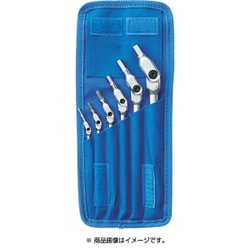 HP6-IC-10 [HEX PRO(ヘックスプロ) ピボットヘッド六角レンチ 6本セット]