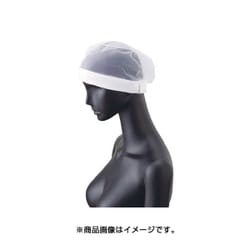 G-5071-F [ヘアネット ホワイト 10枚入]