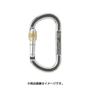 TP11AK [ALPIN OVAL ASYMM XL スクリューロック 線径13.5 シルバー]