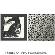 スターウォーズ リョウメンクロス DVデッサン