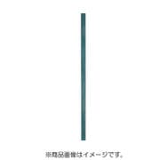 CSDI8-1002 [セラトンダイヤ セラミックダイヤモンド砥石 1×2×100 ＃800 グリーン]