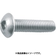 B101-0410 [三角穴ボタンボルト ステンレス M4×10 11本入]