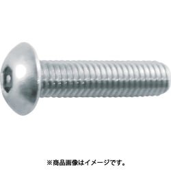 B103-0510 [ピン付六角穴ボタンボルト ステンレス M5×10 11本入]