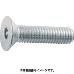 B104-0306 [ピン付六角穴皿頭ボルト ステンレス M3×6 13本入]