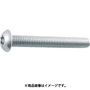 B106-0310 [6ロブボタンボルト ステンレス M3×10 17本入]