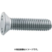 B110-0520 [ツーホール皿頭小ねじ ステンレス M5×20mm 4本入]