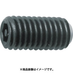 ピン付六角穴止めねじ 黒染 M6×10 12本入 B105-0610