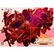 GUILTY GEAR Xrd -REVELATOR- Limited Box [PS3ソフト]