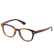 サングラス 5328D-5195(49) RB