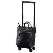 ソフトキャリーケース 約16L 100席以上機内持ち込み可 D-230 ヴェーレ M21 バッグ付 ブラック