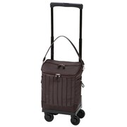 ソフトキャリーケース 約16L 100席以上機内持ち込み可 D-217 リニーエ バッグ付 M21 ダークブラウン