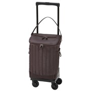 ソフトキャリーケース 約16L 100席以上機内持ち込み可 D-217 リニーエ バッグ付 L21 ダークブラウン