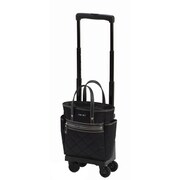 ソフトキャリーケース 約8L 100席未満機内持ち込み可 D-215 シテーロIII バッグ付 TS15 ブラック