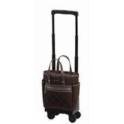 ソフトキャリーケース 約8L 100席未満機内持ち込み可 D-215 シテーロIII バッグ付 TS15 ダークブラウン