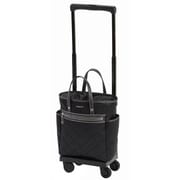 ソフトキャリーケース 約15L 100席未満機内持ち込み可 D-215 シテーロIII バッグ付 M18 ブラック