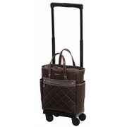 ソフトキャリーケース 約15L 100席未満機内持ち込み可 D-215 シテーロIII バッグ付 M18 ダークブラウン